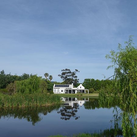Sanddrif Stellenbosch Guest Farm Exteriör bild