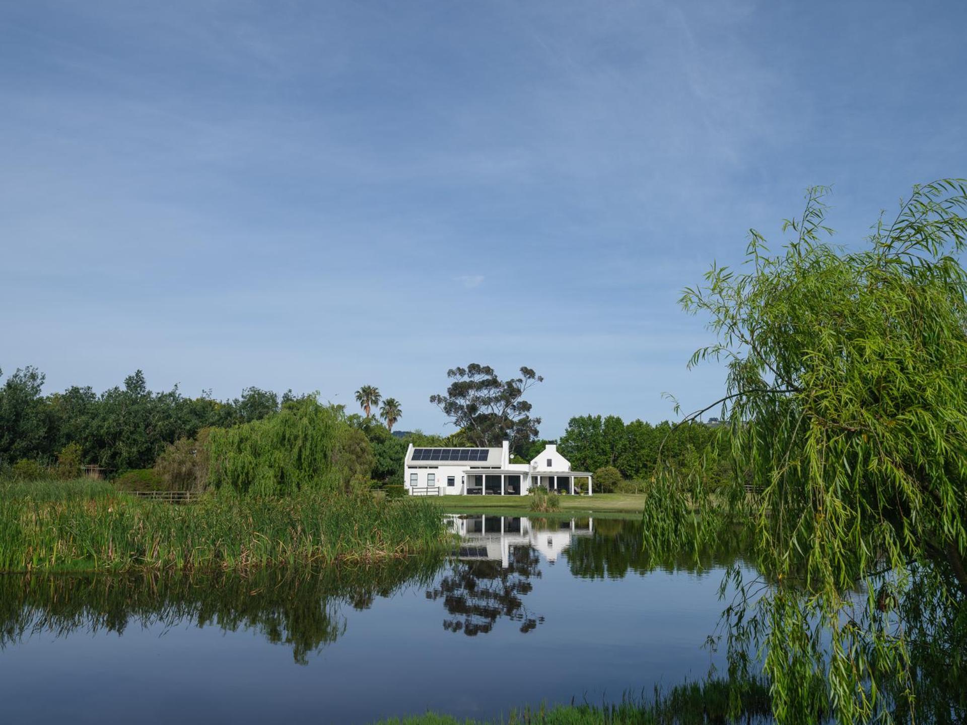 Sanddrif Stellenbosch Guest Farm Exteriör bild