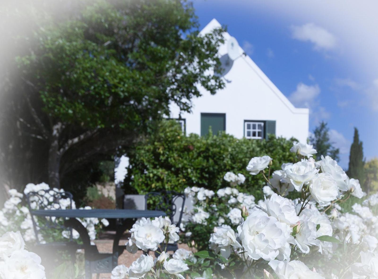 Sanddrif Stellenbosch Guest Farm Exteriör bild