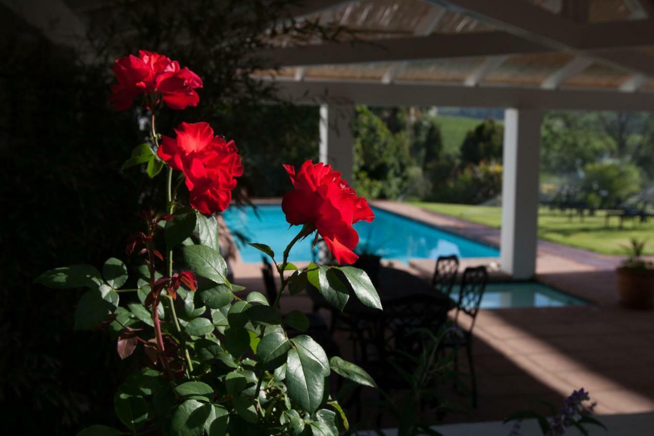 Sanddrif Stellenbosch Guest Farm Exteriör bild
